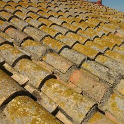 Rehabilitación de tejados en Sant Jaume d'Enveja