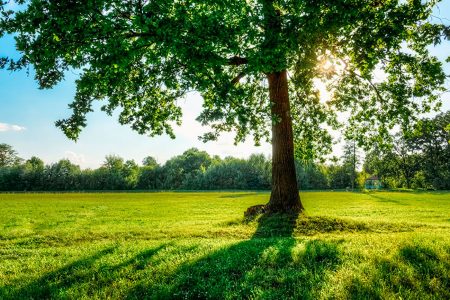 aislamiento térmico en el medio ambiente