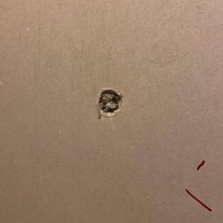 Trabajos de rehabilitación en Salou