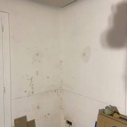 Humedades en edificios de Salou