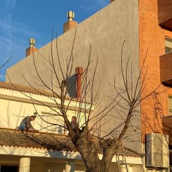 Rehabilitación de paredes en Deltebre