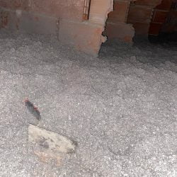 Aislante para el calor en tejados de obra nueva